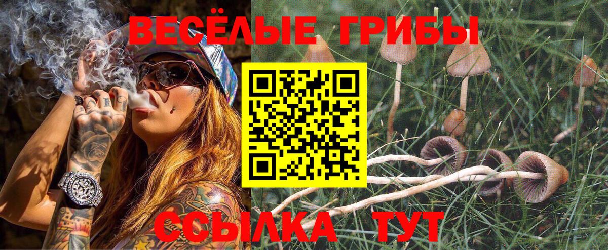 Галлюциногенные грибы прущие грибы  Вход с VPN  Галлюциногенные грибы Psilocybe  купить наркотики цена  Якутск 